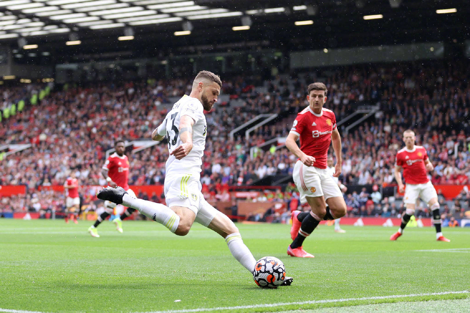 年历史的球 年历史的球